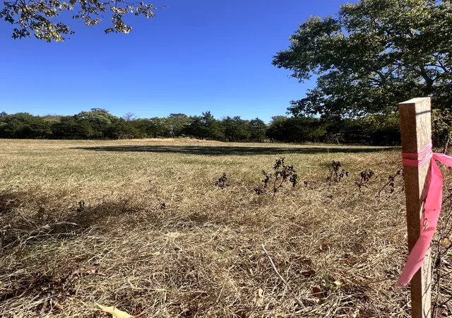 Photo 2 of Land for sale at 0 Webb Ln, Murfreesboro, TN 37129 | MLS# 3603109 | Listing updated on 2026-09-30