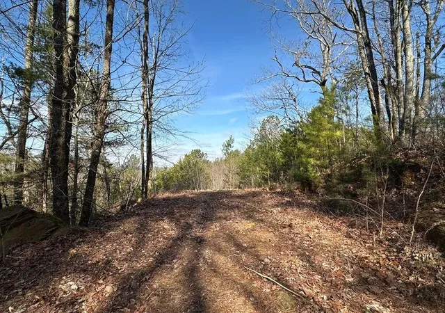 Photo 1 of Land for sale at 125 Fox Trl Dr, Old Fort, TN 37362 | MLS# 3604003 | Listing updated on 2026-10-01