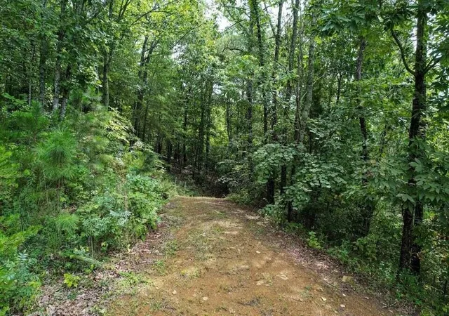 Photo 2 of Land for sale at 125 Fox Trl Dr, Old Fort, TN 37362 | MLS# 3604003 | Listing updated on 2026-10-01
