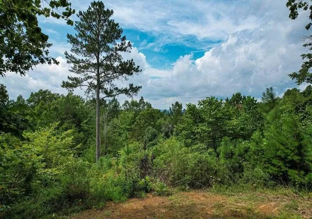 Photo 3 of Land for sale at 125 Fox Trl Dr, Old Fort, TN 37362 | MLS# 3604003 | Listing updated on 2026-10-01