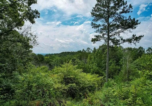 Photo 4 of Land for sale at 125 Fox Trl Dr, Old Fort, TN 37362 | MLS# 3604003 | Listing updated on 2026-10-01