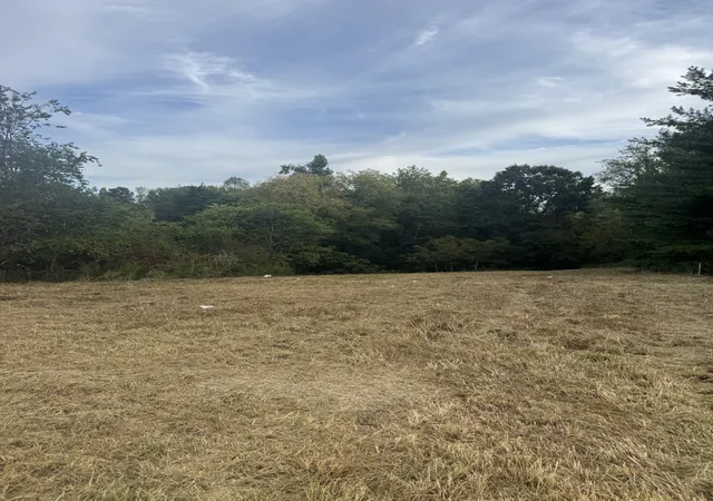 Photo 3 of Land for sale at 8 Shiloh Rd, Lafayette, TN 37083 | MLS# 3603052 | Listing updated on 2026-09-30