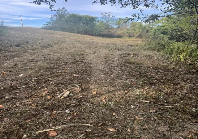 Photo 3 of Land for sale at 8 Shiloh Rd, Lafayette, TN 37083 | MLS# 3603052 | Listing updated on 2026-09-30