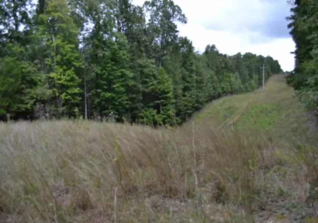 Photo 3 of Sale Pending at 0 Zizka Dr, Sparta, TN 38583 | MLS# 3603058 | Listing updated on 2026-10-07