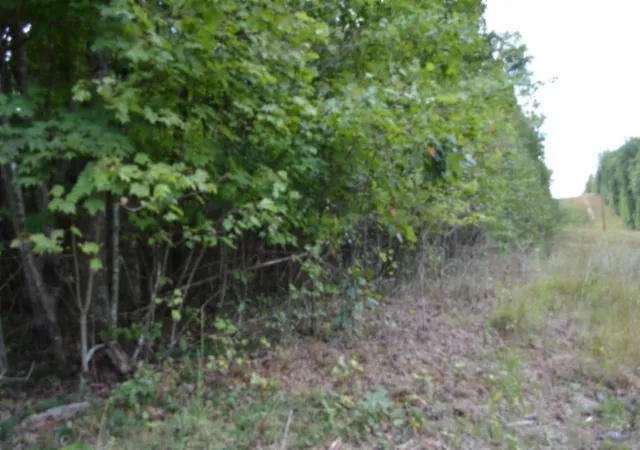 Photo 3 of Sale Pending at 0 Zizka Dr, Sparta, TN 38583 | MLS# 3603058 | Listing updated on 2026-10-07