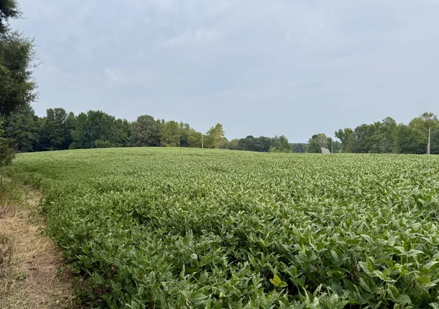Photo 3 of Land for sale at 0 Oakdale Rd, Athens, AL 35613 | MLS# 3603088 | Listing updated on 2026-09-30