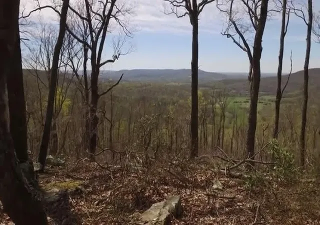 Photo 2 of Land for sale at 1071 Long Mountain Trl, Mc Minnville, TN 37110 | MLS# 3603177 | Listing updated on 2026-09-30