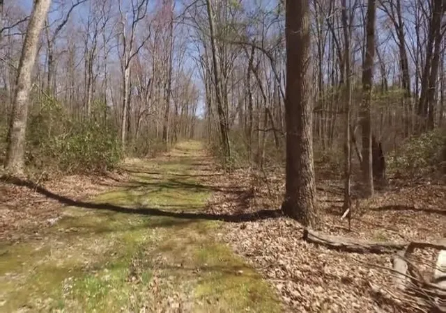 Photo 4 of Land for sale at 1071 Long Mountain Trl, Mc Minnville, TN 37110 | MLS# 3603177 | Listing updated on 2026-09-30
