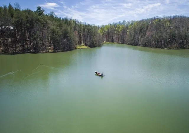 Photo 2 of Land for sale at 8 Long Mountain Trl, Mc Minnville, TN 37110 | MLS# 3603166 | Listing updated on 2026-10-01
