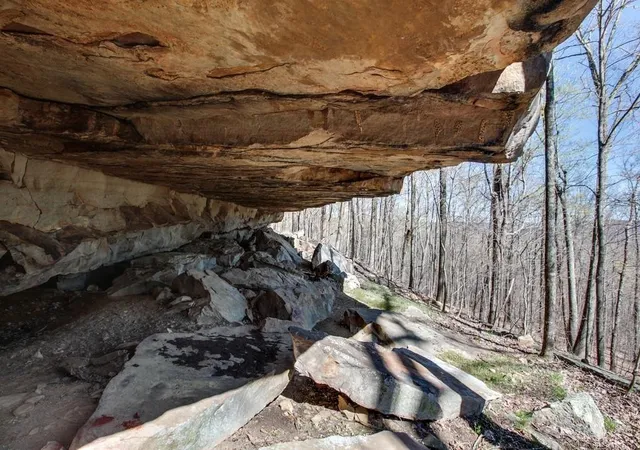 Photo 3 of Land for sale at 8 Long Mountain Trl, Mc Minnville, TN 37110 | MLS# 3603166 | Listing updated on 2026-10-01