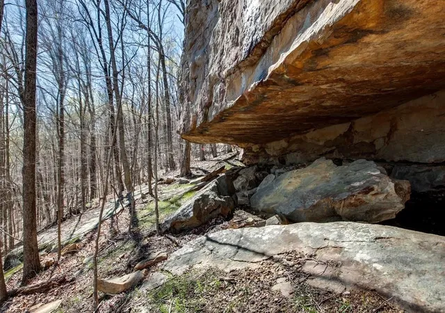 Photo 4 of Land for sale at 8 Long Mountain Trl, Mc Minnville, TN 37110 | MLS# 3603166 | Listing updated on 2026-10-01