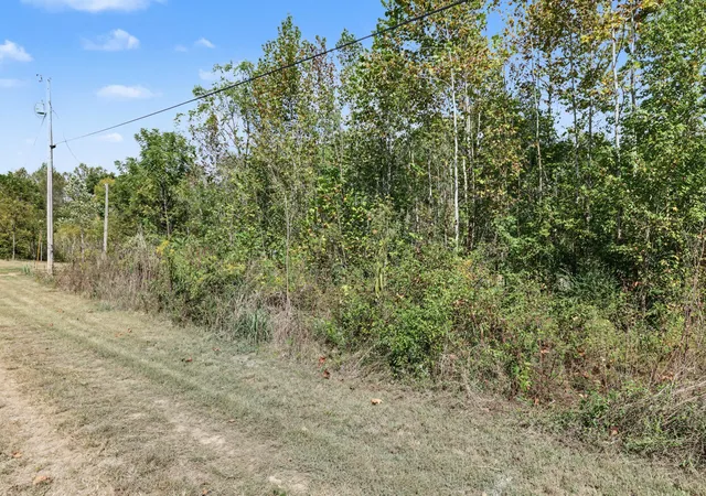 Photo 2 of Land for sale at 0 N Olivia Ln, Ethridge, TN 38456 | MLS# 3611524 | Listing updated on 2026-10-11
