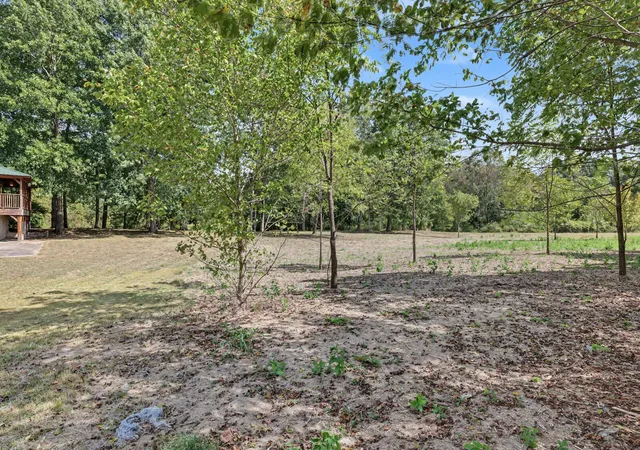 Photo 3 of Land for sale at 0 N Olivia Ln, Ethridge, TN 38456 | MLS# 3611524 | Listing updated on 2026-10-11