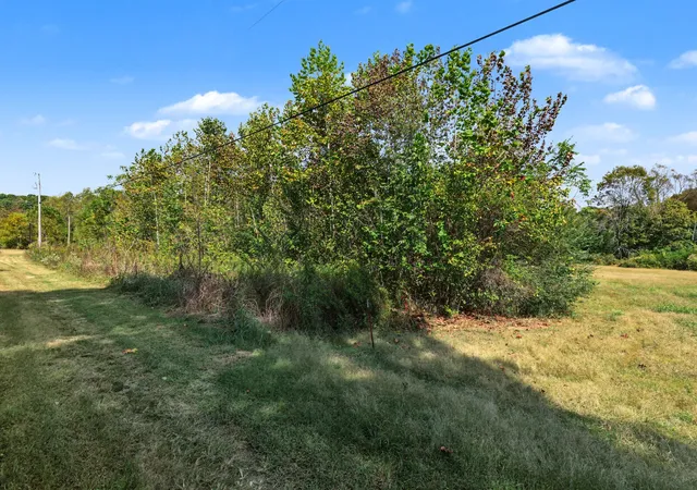 Photo 2 of Land for sale at 0 N Olivia Ln, Ethridge, TN 38456 | MLS# 3611525 | Listing updated on 2026-10-06