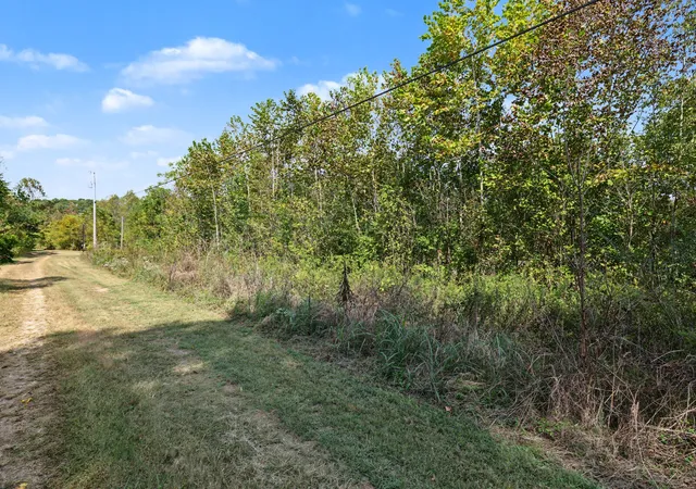 Photo 3 of Land for sale at 0 N Olivia Ln, Ethridge, TN 38456 | MLS# 3611525 | Listing updated on 2026-10-06