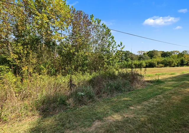 Photo 3 of Land for sale at 0 N Olivia Ln, Ethridge, TN 38456 | MLS# 3611525 | Listing updated on 2026-10-06