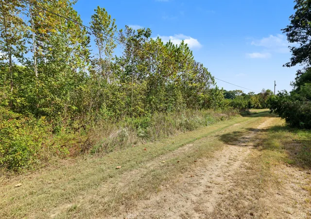 Photo 4 of Land for sale at 0 N Olivia Ln, Ethridge, TN 38456 | MLS# 3611525 | Listing updated on 2026-10-06