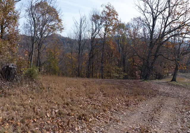 Photo 3 of Land for sale at 0 Brazier Ln, Gallatin, TN 37066 | MLS# 3603195 | Listing updated on 2026-09-30