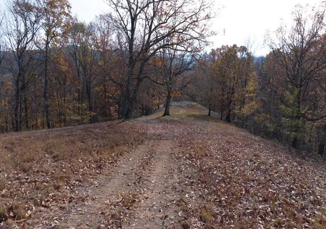 Photo 4 of Land for sale at 0 Brazier Ln, Gallatin, TN 37066 | MLS# 3603195 | Listing updated on 2026-09-30