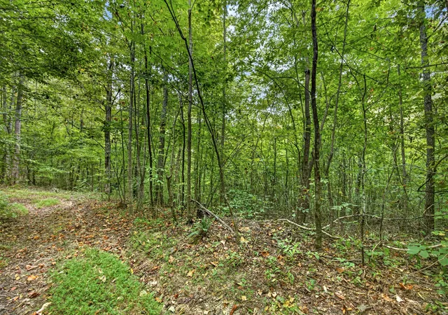Photo 1 of Land for sale at 0 Timber Ridge Ln, Celina, TN 38551 | MLS# 3603326 | Listing updated on 2026-09-30