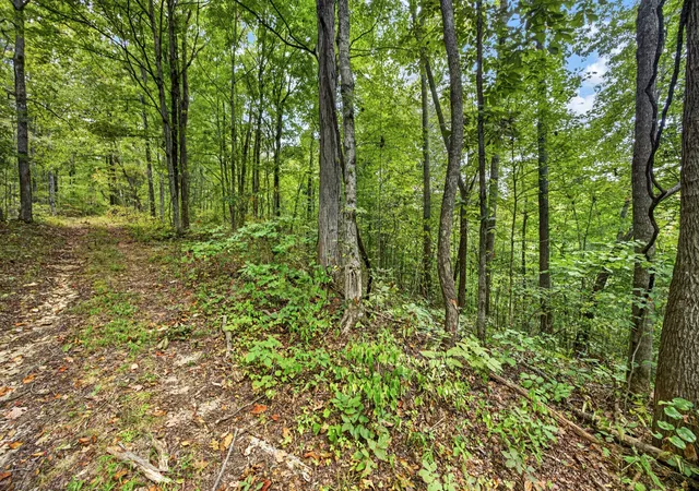 Photo 2 of Land for sale at 0 Timber Ridge Ln, Celina, TN 38551 | MLS# 3603326 | Listing updated on 2026-09-30