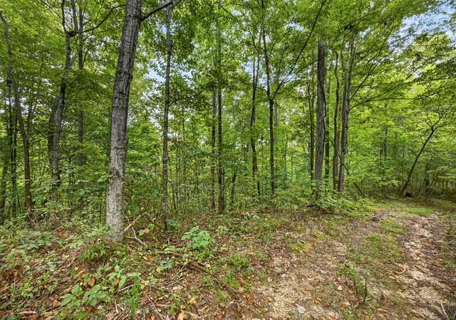 Photo 3 of Land for sale at 0 Timber Ridge Ln, Celina, TN 38551 | MLS# 3603326 | Listing updated on 2026-09-30