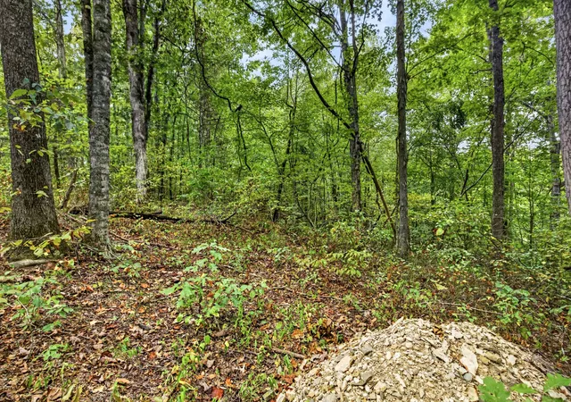 Photo 3 of Land for sale at 0 Timber Ridge Ln, Celina, TN 38551 | MLS# 3603326 | Listing updated on 2026-09-30