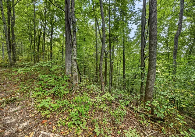Photo 4 of Land for sale at 0 Timber Ridge Ln, Celina, TN 38551 | MLS# 3603326 | Listing updated on 2026-09-30