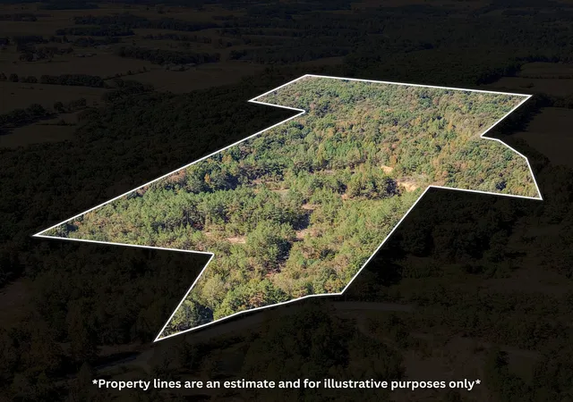 Photo 1 of Land for sale at 0 Henryville Rd, Ethridge, TN 38456 | MLS# 3612748 | Listing updated on 2026-10-07