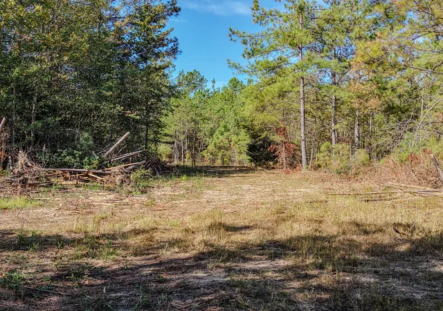 Photo 3 of Land for sale at 0 Henryville Rd, Ethridge, TN 38456 | MLS# 3612748 | Listing updated on 2026-10-07