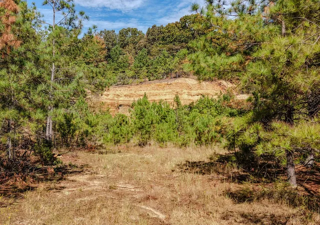 Photo 3 of Land for sale at 0 Henryville Rd, Ethridge, TN 38456 | MLS# 3612748 | Listing updated on 2026-10-07
