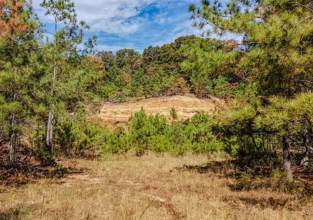 Photo 4 of Land for sale at 0 Henryville Rd, Ethridge, TN 38456 | MLS# 3612748 | Listing updated on 2026-10-07
