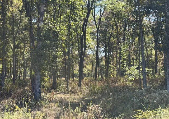 Photo 3 of Land for sale at 1247 George Patterson Dr, Murfreesboro, TN 37127 | MLS# 3603431 | Listing updated on 2026-10-08