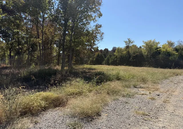 Photo 4 of Land for sale at 1247 George Patterson Dr, Murfreesboro, TN 37127 | MLS# 3603431 | Listing updated on 2026-10-08