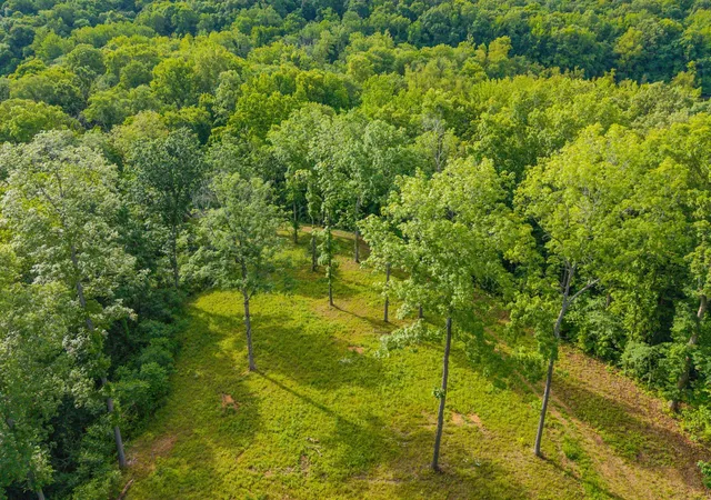 Photo 4 of Land for sale at 164 Lewis Cir, Dover, TN 37058 | MLS# 3603559 | Listing updated on 2026-10-01