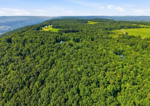 Photo 1 of Land for sale at 0 Timber View Rd, Pikeville, TN 37367 | MLS# 3603655 | Listing updated on 2026-10-01