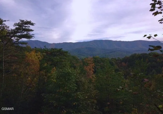 Photo 3 of Land for sale at 64 Vixen Run, Gatlinburg, TN 37738 | MLS# 3603976 | Listing updated on 2026-10-01