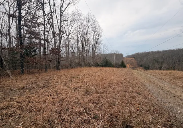Photo 1 of Land for sale at 4 Blue Bird Ct, Nunnelly, TN 37137 | MLS# 3603777 | Listing updated on 2026-10-01