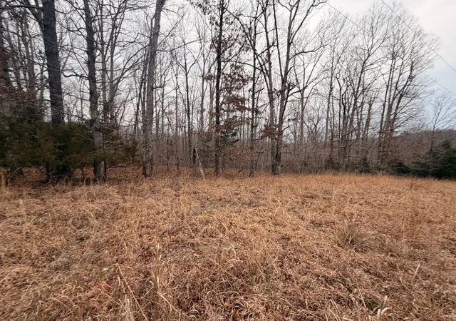 Photo 2 of Land for sale at 4 Blue Bird Ct, Nunnelly, TN 37137 | MLS# 3603777 | Listing updated on 2026-10-01