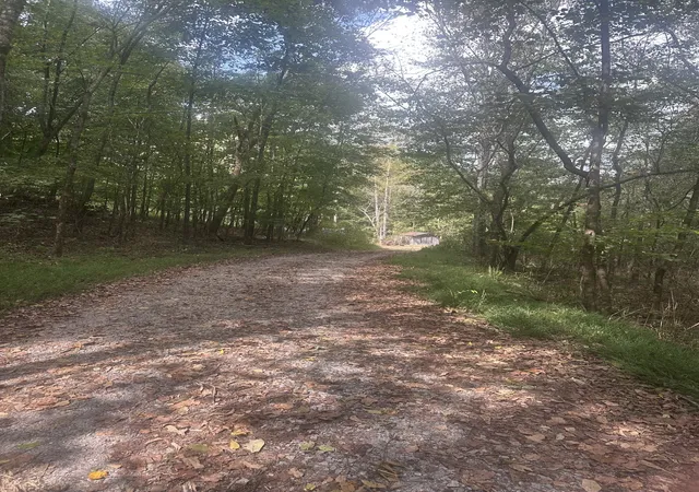 Single family home for sale at 2550 Hurricane Crk Rd, Lawrenceburg, TN 38464 | MLS# 3603817