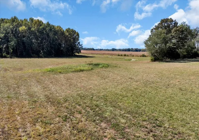 Photo 3 of Land for sale at 0 Bailey Rd, Hillsboro, TN 37342 | MLS# 3604043 | Listing updated on 2026-10-01
