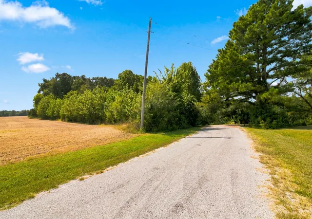 Photo 1 of Single family home for sale at 371 Wildwood Ln, Paris, TN 38242 | MLS# 3610601 | Listing updated on 2026-10-02