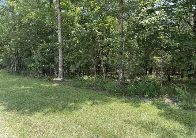 Photo 1 of Land for sale at 0 Long Branch Rd, Spencer, TN 38585 | MLS# 3603837 | Listing updated on 2026-10-01