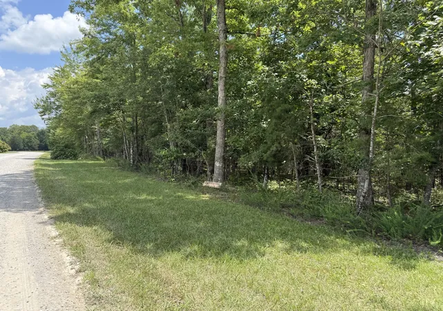 Photo 2 of Land for sale at 0 Long Branch Rd, Spencer, TN 38585 | MLS# 3603837 | Listing updated on 2026-10-01