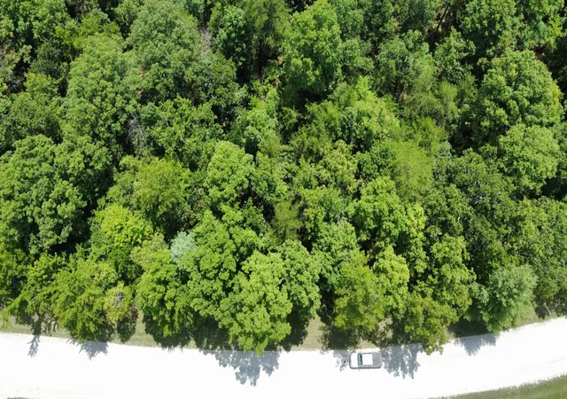 Photo 3 of Land for sale at 0 Long Branch Rd, Spencer, TN 38585 | MLS# 3603837 | Listing updated on 2026-10-01