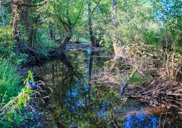Photo 2 of Land for sale at 612 Bee Spring Rd, Dellrose, TN 38453 | MLS# 3603863 | Listing updated on 2026-10-01