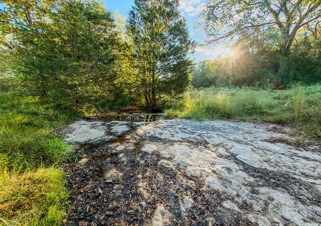 Photo 3 of Land for sale at 612 Bee Spring Rd, Dellrose, TN 38453 | MLS# 3603863 | Listing updated on 2026-10-01