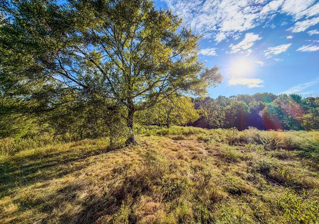 Photo 3 of House for sale at 612 Bee Spring Rd, Dellrose, TN 38453 | MLS# 3603863 | Listing updated on 2026-10-01