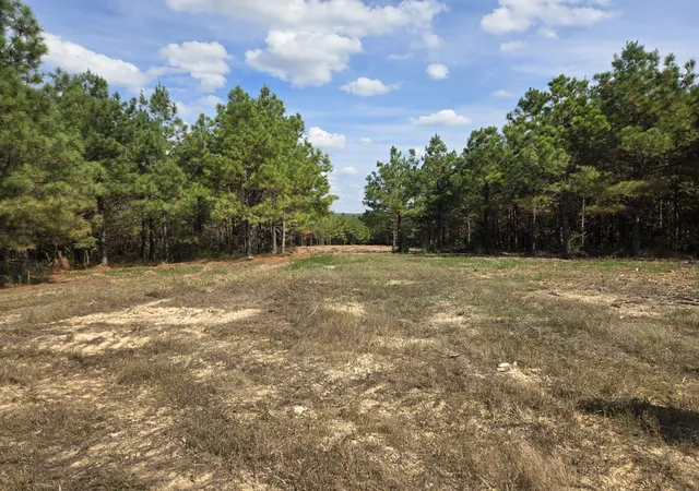 Photo 1 of Land for sale at 189 Evergreen Dr, Dover, TN 37058 | MLS# 3610079 | Listing updated on 2026-10-02