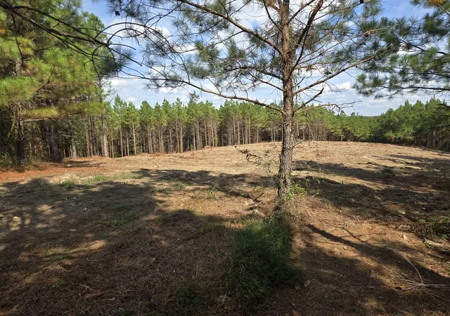 Photo 2 of Land for sale at 189 Evergreen Dr, Dover, TN 37058 | MLS# 3610079 | Listing updated on 2026-10-02